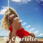 Gislind Wonder Girl 29 de Île-de-France, Sarcelles